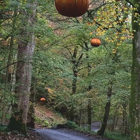 pumkin walk